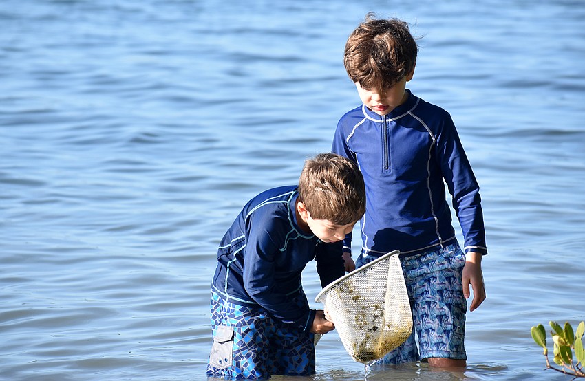 Parker Glassman and Domi Kiss search for marine life.
