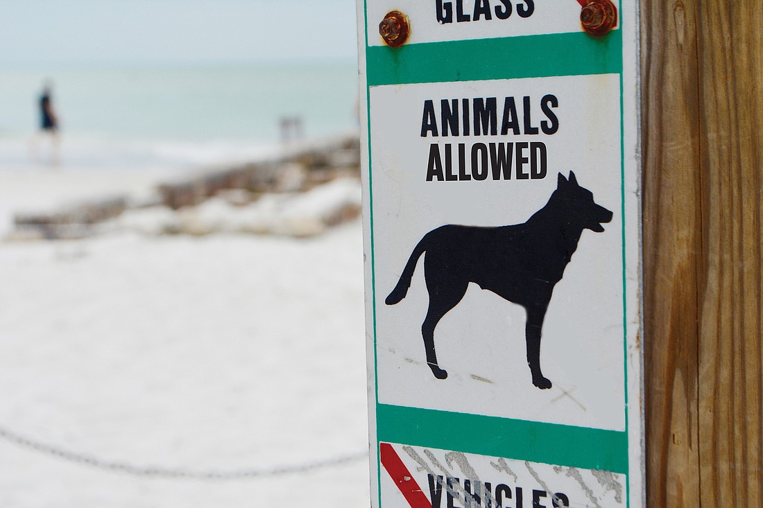 A state law renders Siesta Key&#39;s dog ban legally obsolete.