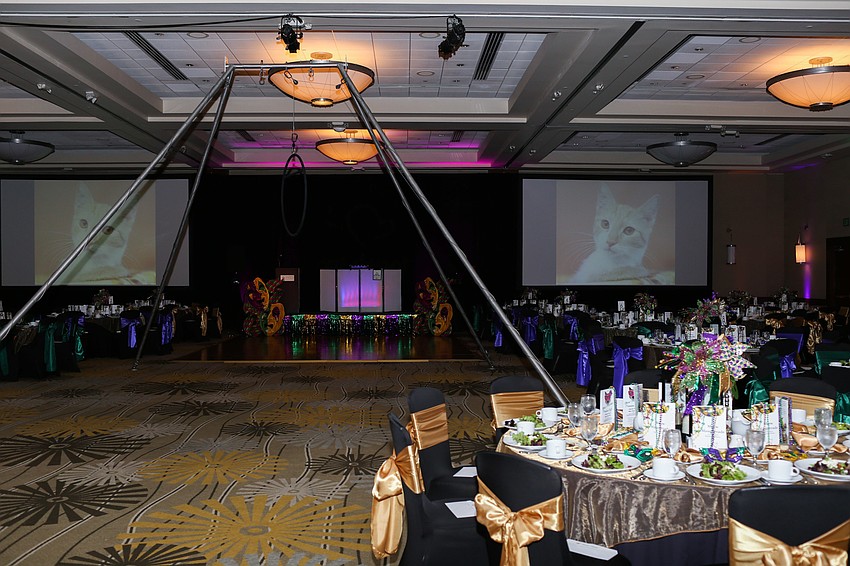 The Circus Arts Conservatory performed after dinner.