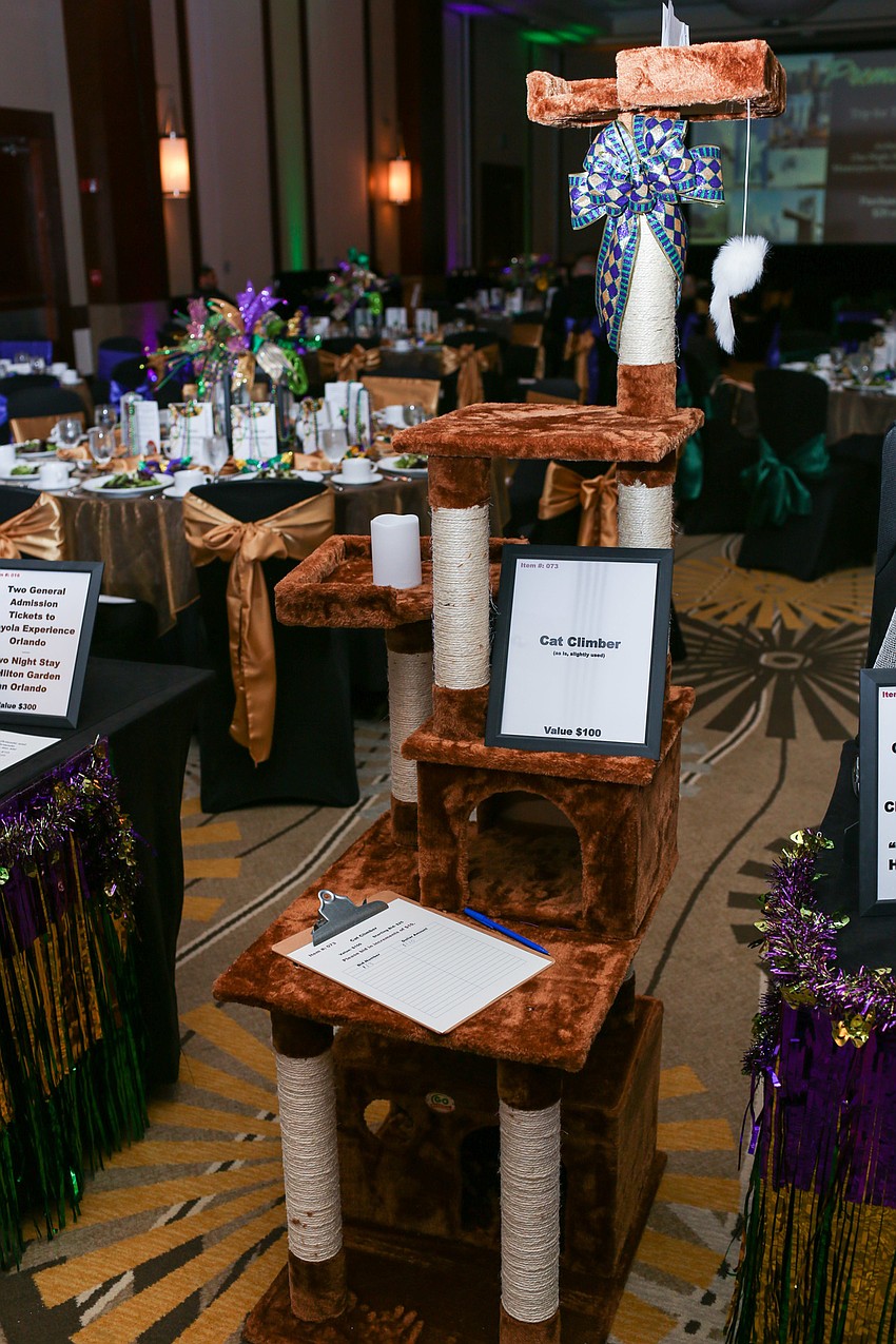 Cat items for people and cats were available in the silent auction.