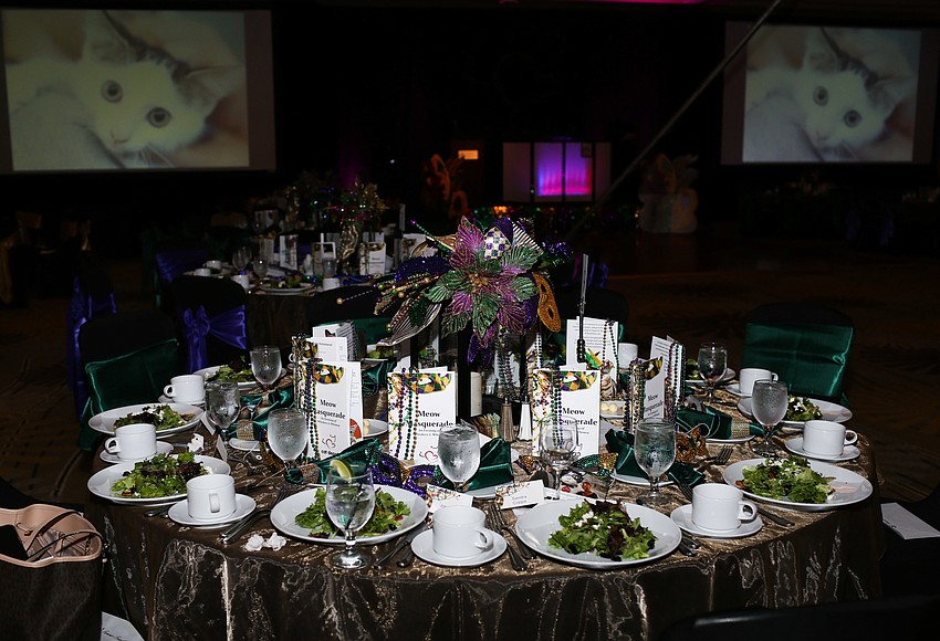 Your Observer Photo The Hyatt Regency Sarasota hosted Cat Depot's