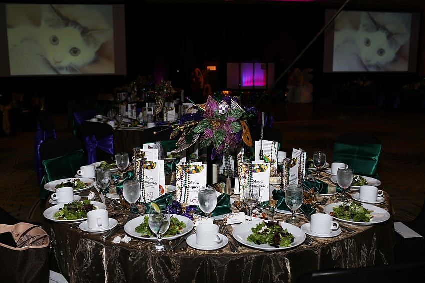 The Hyatt Regency Sarasota hosted Cat Depot's annual gala.