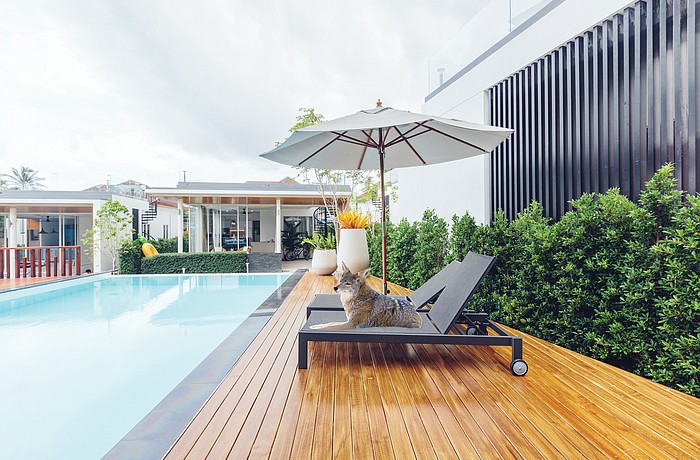 Luxury coyotes? Yeah, that&#39;s an April Fools gag.