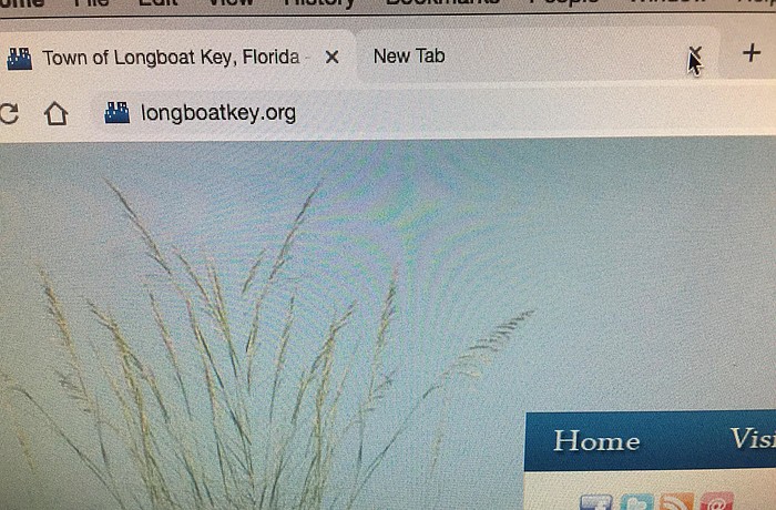 At the core of the lawsuit against the town, and most others filed against governments, public agencies and private businesses, is the formatting of documents and information posted on their websites.Â