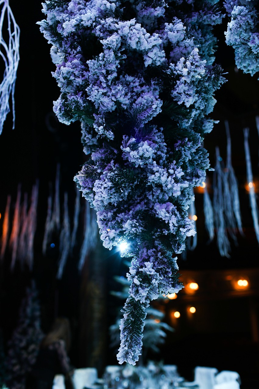 Evergreen trees and branches hung from the ceiling.