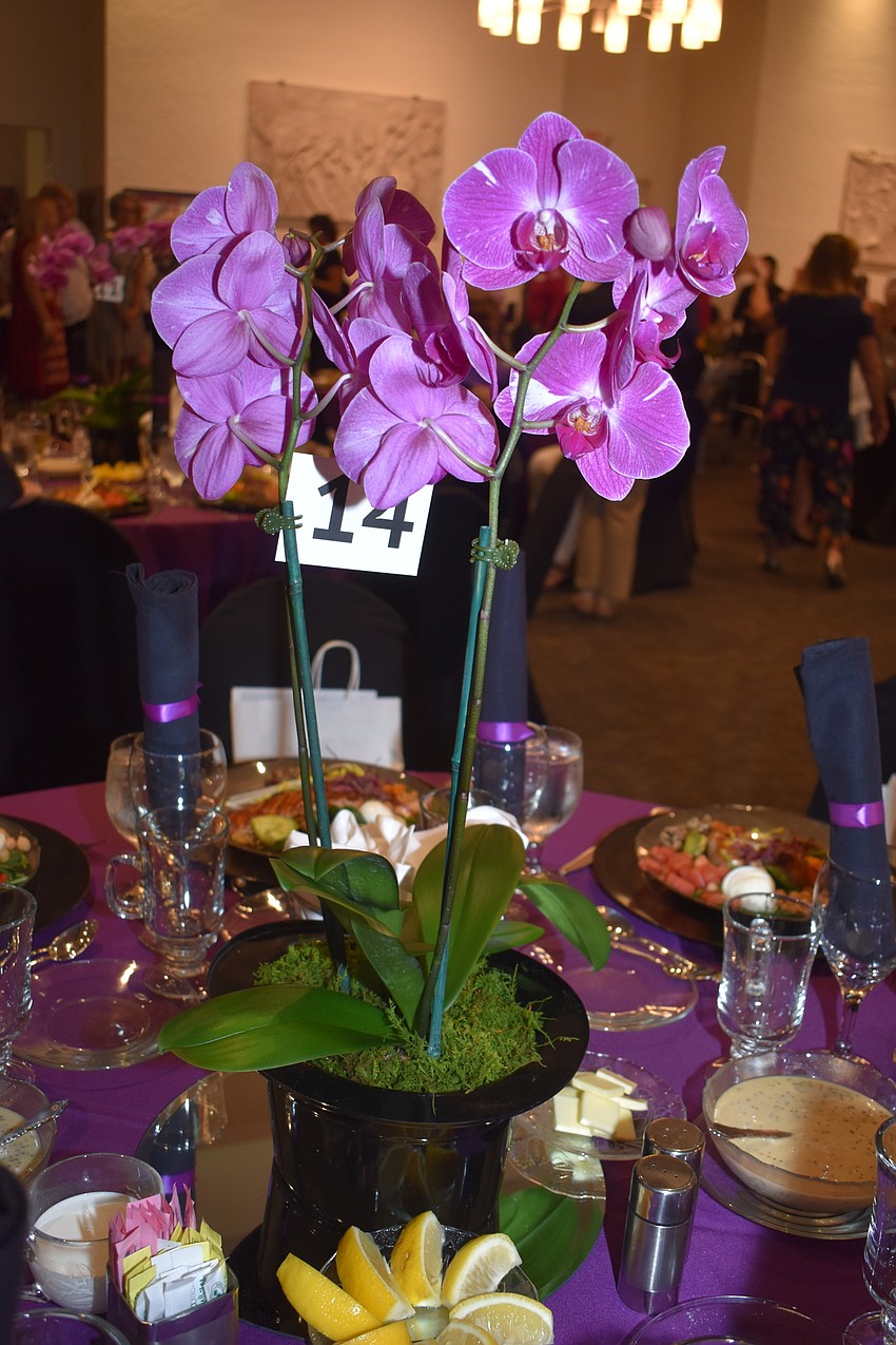 The orchids were provided by The Orchid Lady.