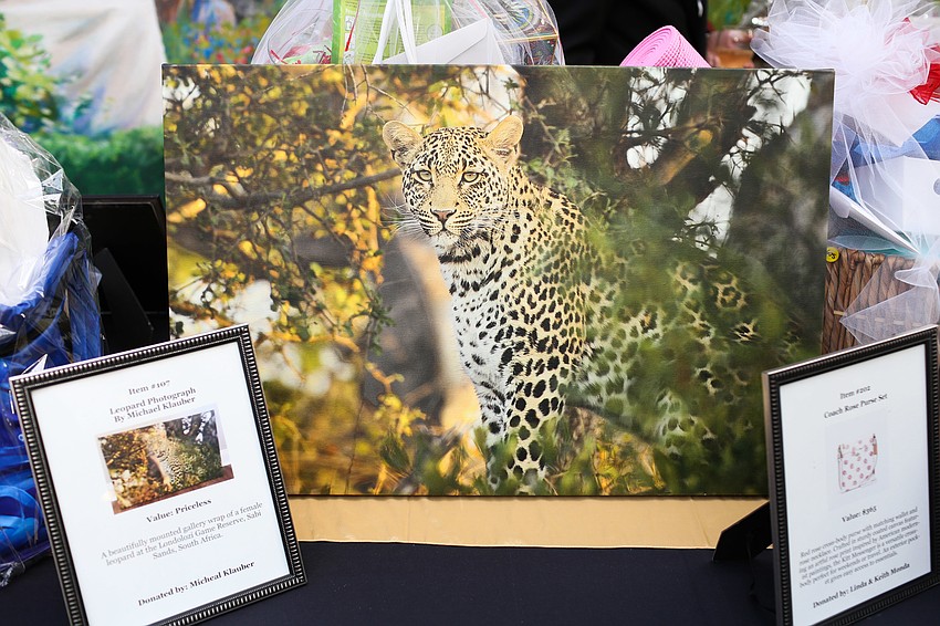 Silent auction items included this photograph by Michael Klauber.