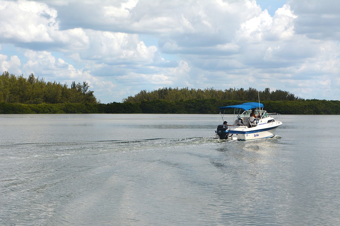 Jim Neville Marine Preserve is surrounded by mangroves.