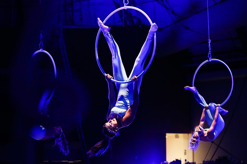 The ladies of the aerial Lyra were next.