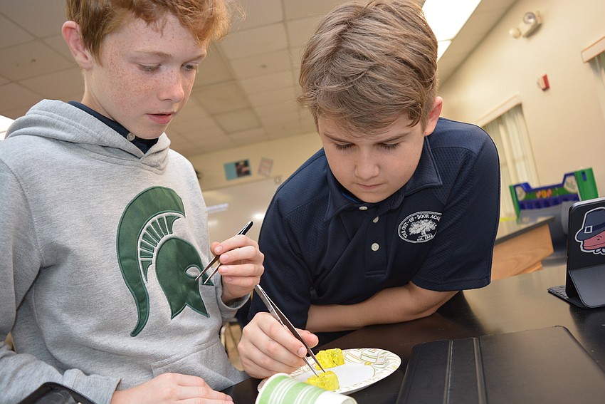 Thirteen-year-olds Andrew Brewer and Jack Meyers test the steadiness of their hands as they try to remove a 