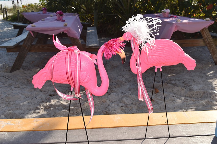 Pink lawn flamingos surrounded the Sea Turtle Pavilion.