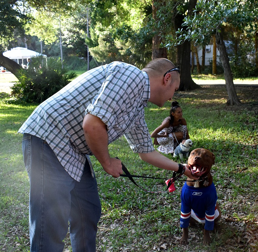 Bodhi the red nose pit bull gets some pets.