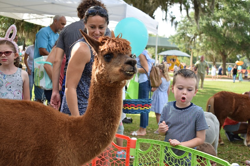 Central Park's Ella Hoy and her son, 5-year-old Enzo, enjoyed the petting zoo.