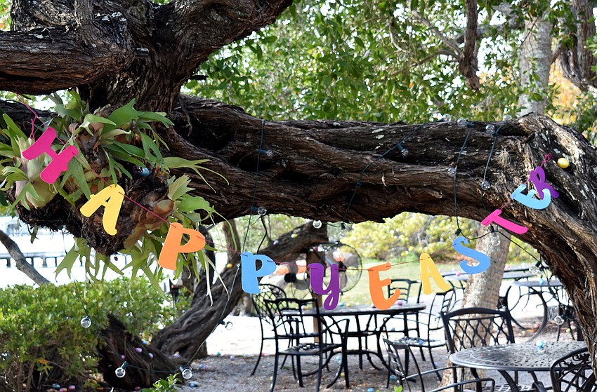 The egg hunt took place off the patio of Mar Vista.