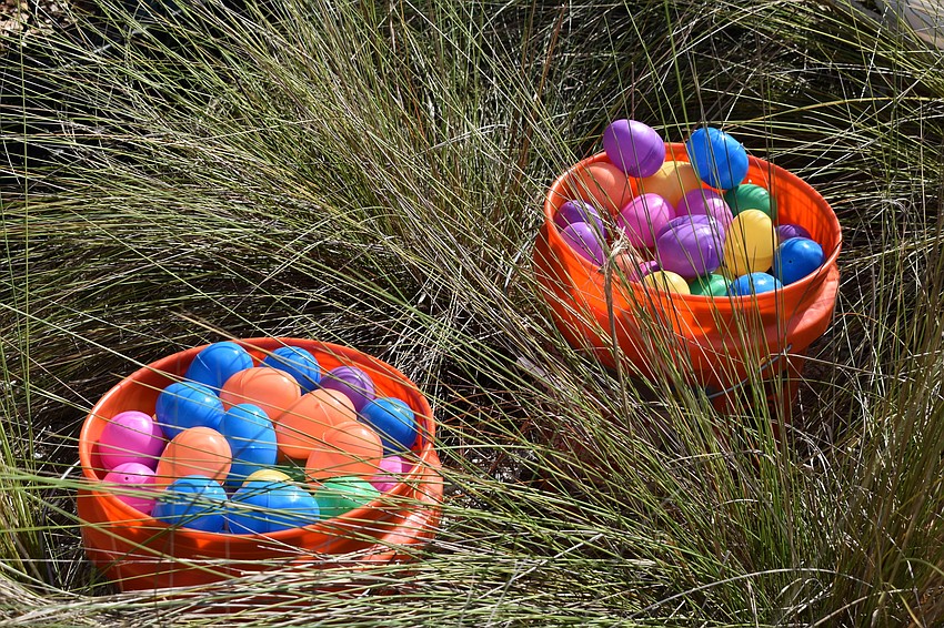 There were hundreds of eggs scattered around the playground area of Turtle Beach.