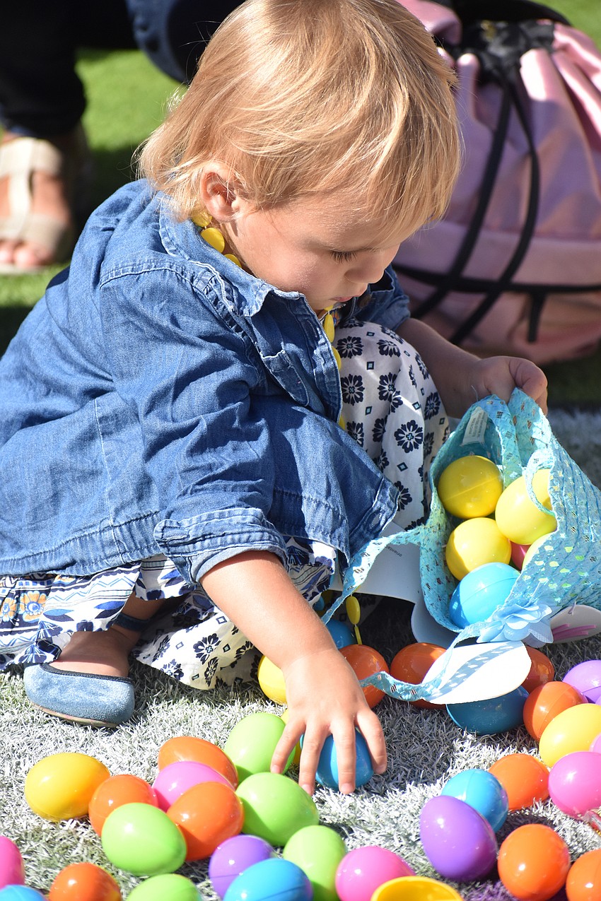 Wren Havender fills her basket with eggs.