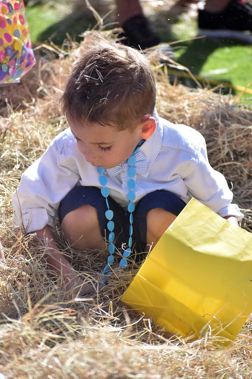 Rory Cullen, 4, searches for Easter eggs in the hay.
