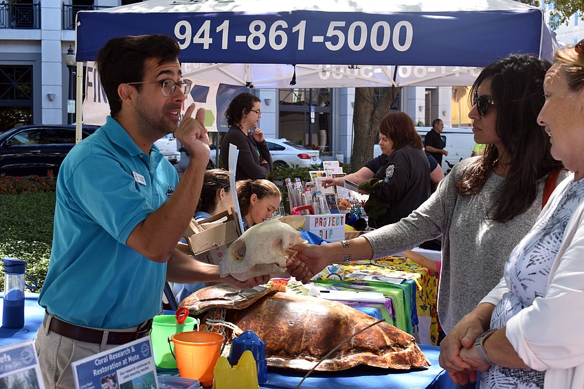 Ross Johnston, an education specialist at Mote Marine Lab & Aquarium, explains the differences between turtles.