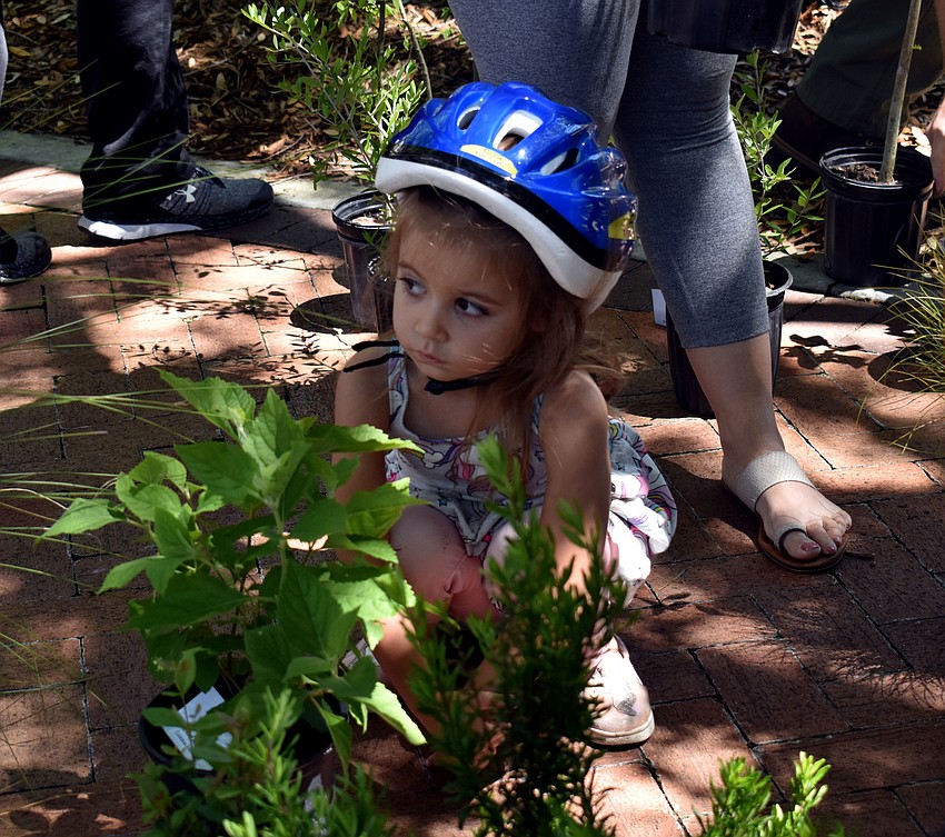 Elena Collin picks out the perfect plant.