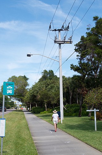 Town officials have said many of the town&#39;s existing poles, like this one, are taller than the proposed 35  feet.