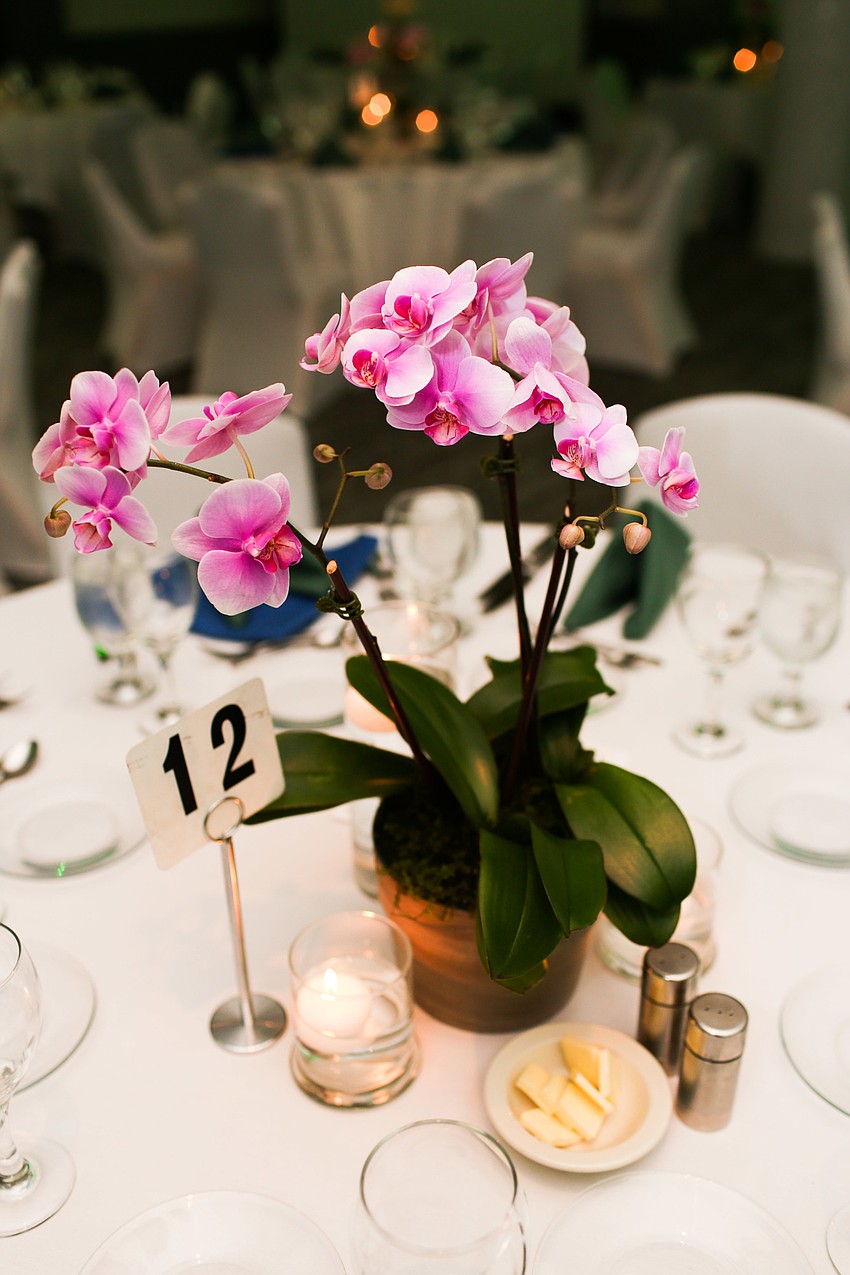 Orchids centered every table.