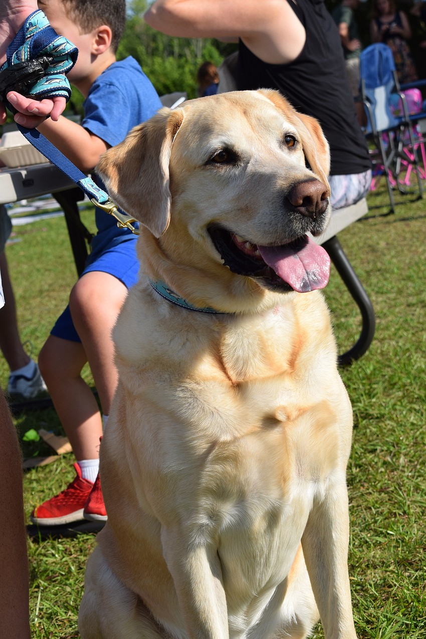 Mallory and Aaron may brought their pup, Brennan, to enjoy The Market.