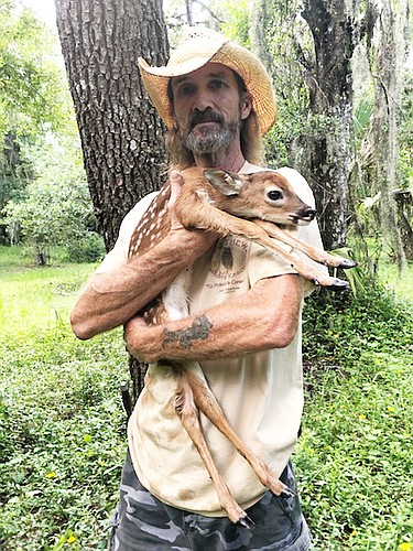 Wildlife rehabilitator Justin Matthews, of Justin Matthews Wildlife Rescue, this month rescued an emaciated fawn from behind a home in Greenbrook. Most of the time, however, fawns are OK and do not need intervention.