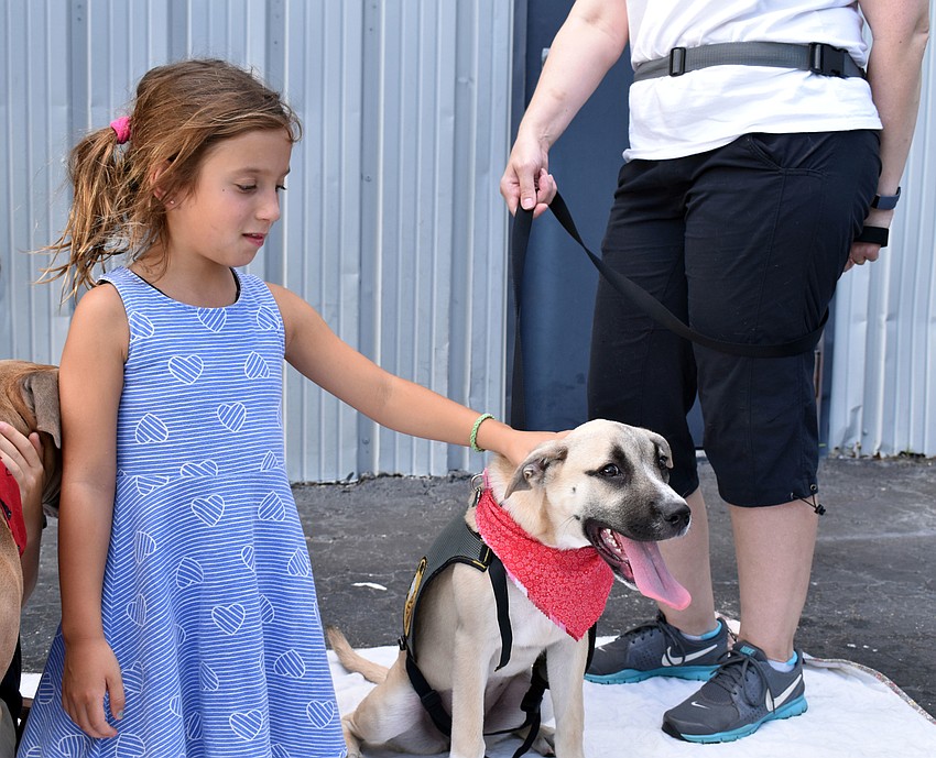 Molly Rauch cautiously pets shepherd/lab mix Grace.