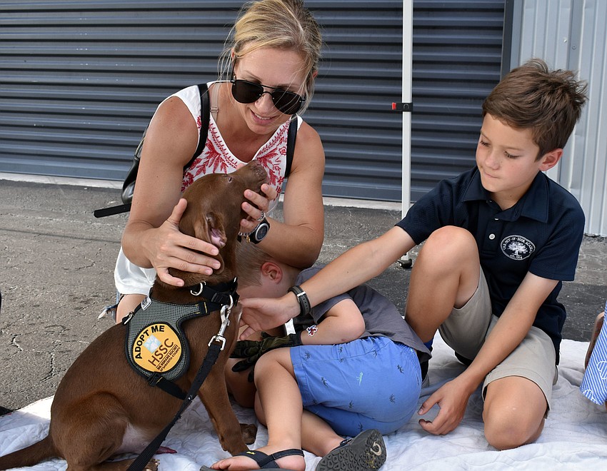 3-month-old chocolate lab mix Reese gets some love from Katie, Patrick and George Rauch.