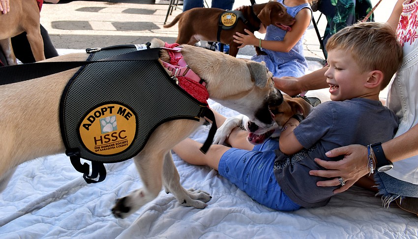 Patrick Rauch giggles as he gets puppy love from two dogs.