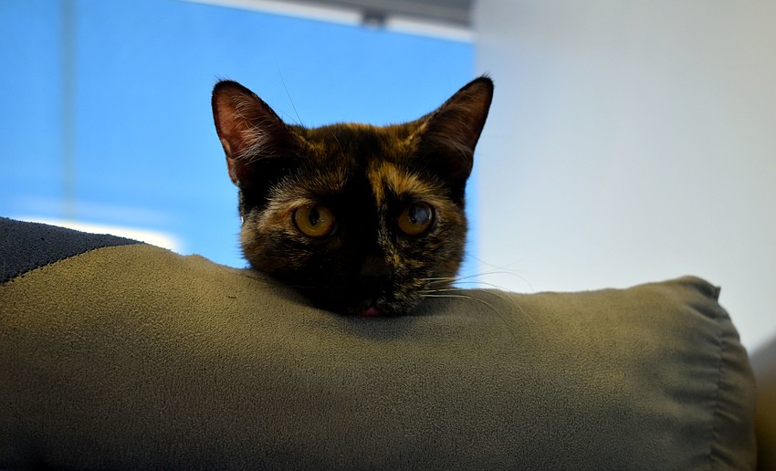 Lil Squeaky is 5 months old.