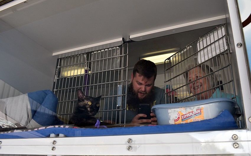 Guests were able to go into the bus for a closer look at the kittens.