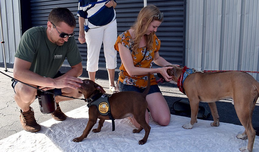 Greg Hagar and Sam Kujala were on vacation and stumbled across the dogs.