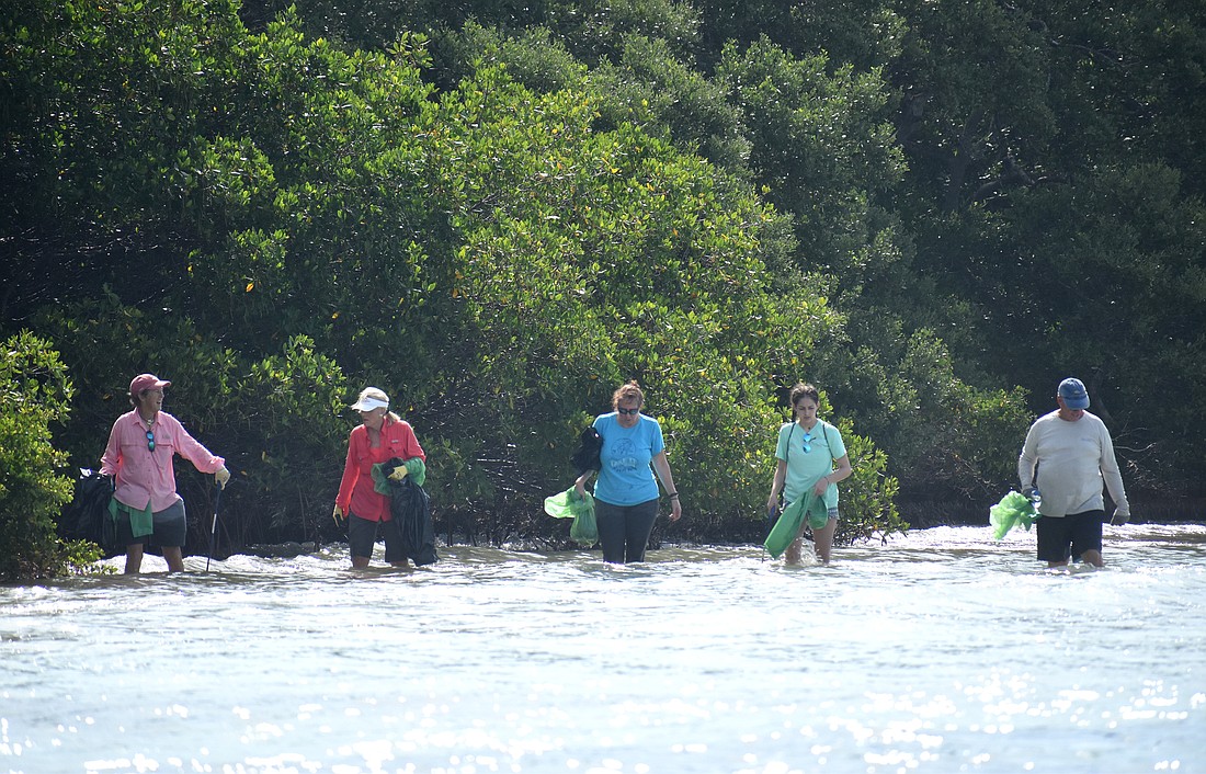 While some volunteers walked the islands, others stuck to the mangroves along the shore.