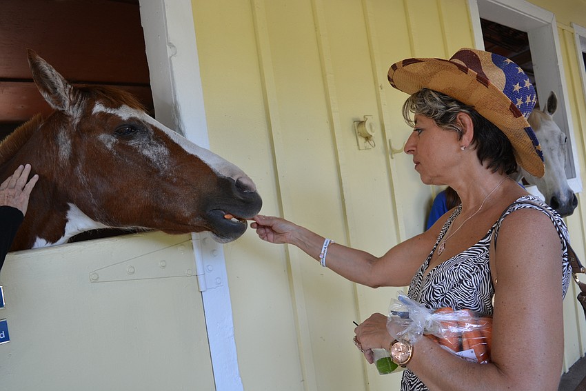 East County resident Donna Hoefer, a guest of SMART donor Phyllis Siskel, brought a bag of carrots for the horses. Here she gives a treat to Gracie.