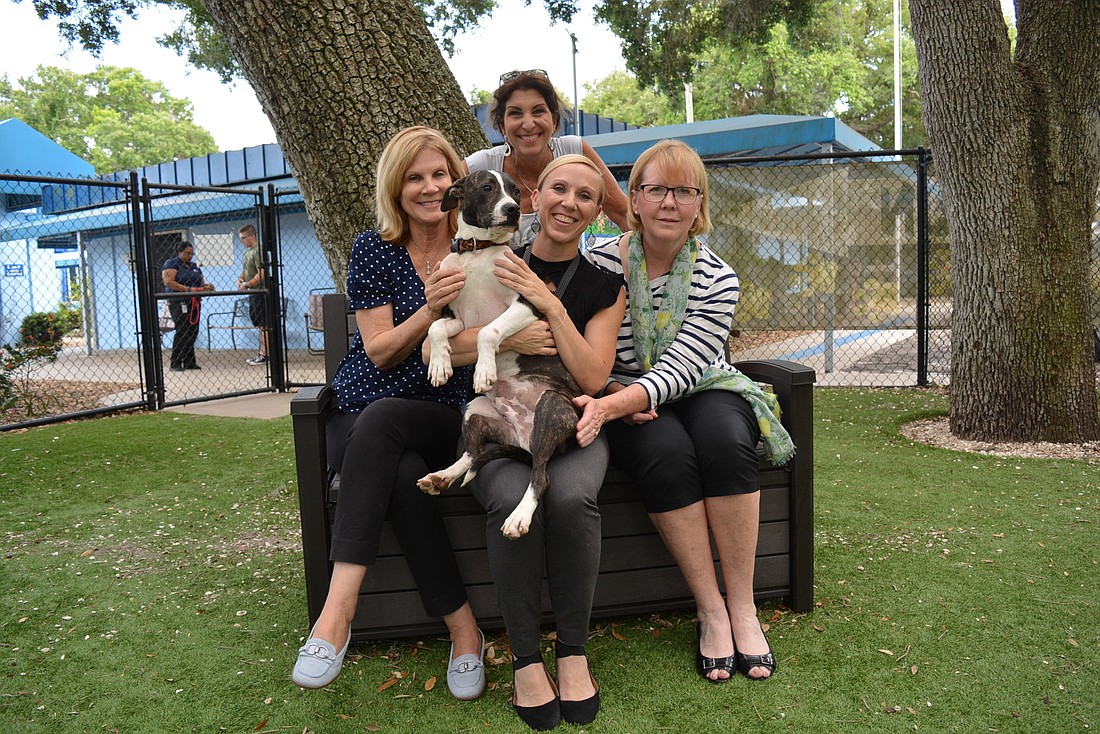 Manatee County Commissioner Carol Whitmore, Animal Network board member Debra Star (behind), Animal Services Division Director Sarah Brown (center) and Animal Network President Pam Freni said the community has demanded more.