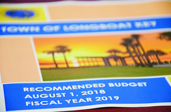 Town officials learned the budget passed last September is on track at the mid-year mark.