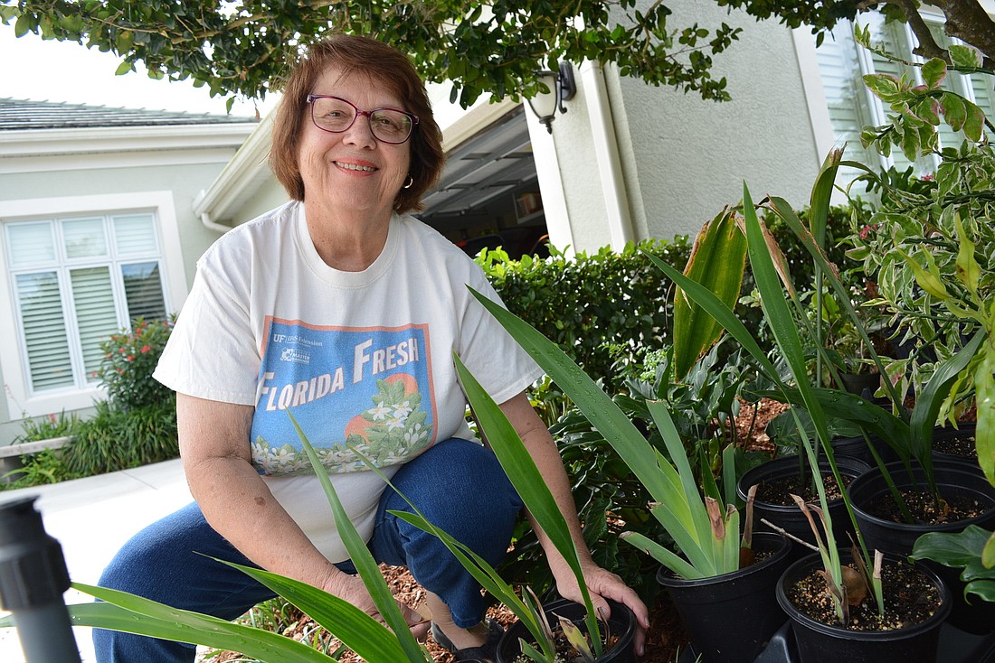 Rosedale Golf and Country Club resident Linda Lestock is growing plants to sell at the Master Gardener Volunteer Program&#39;s annual plant sale.