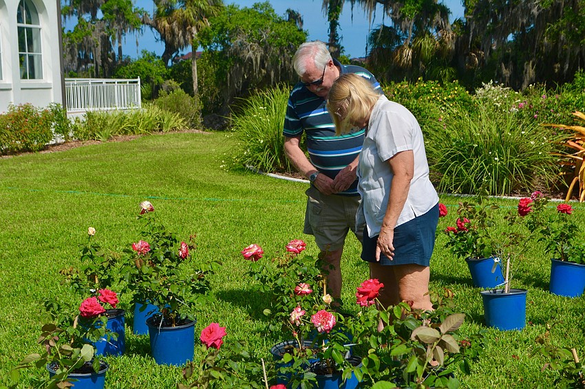 Ron Seekins and Kathy Seekins survey the available roses