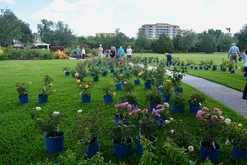 The front lawn of the estate was covered with roses available for purchase