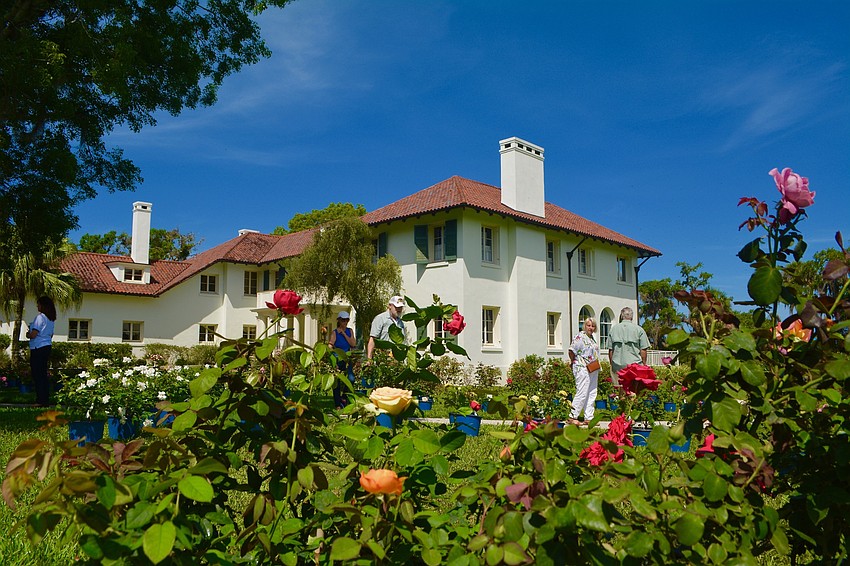The Bradenton-Sarasota Rose Society helps Floridians understand how to grow types of roses that can withstand the summer heat