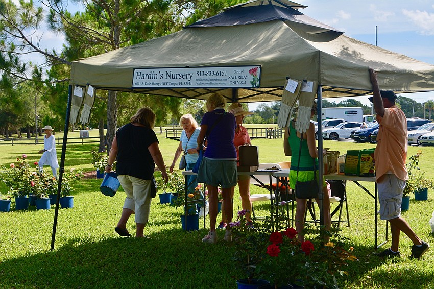 Hardin's Nursery attends the festival annually and brings with them approximately 500 roses