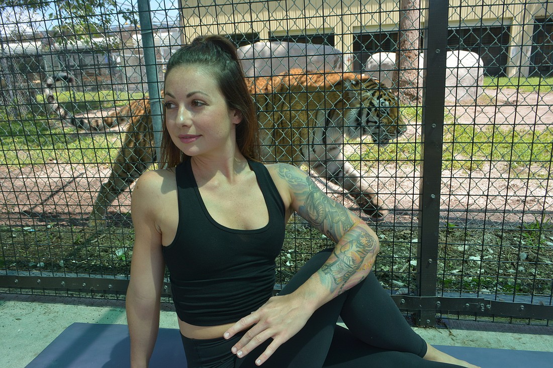 Erika Cain will be teaching yoga once a month in front of the lions and tigers at Big Cat Habitat and Gulf Coast Sanctuary in Sarasota.