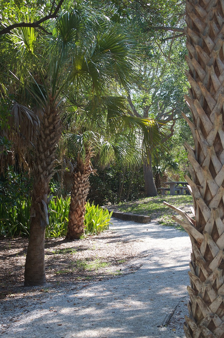 Miles of pathways criss-cross the park, through open space and dense cover.