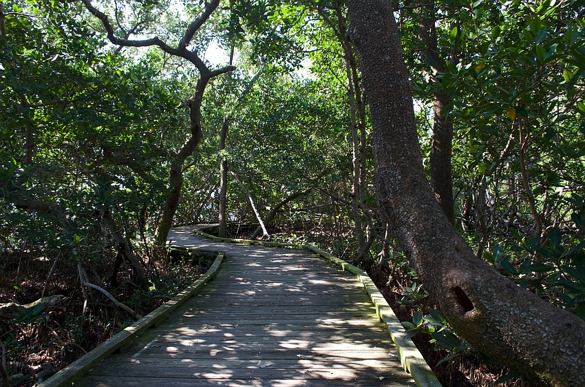 Raised boardwalks cross the wetland areas.