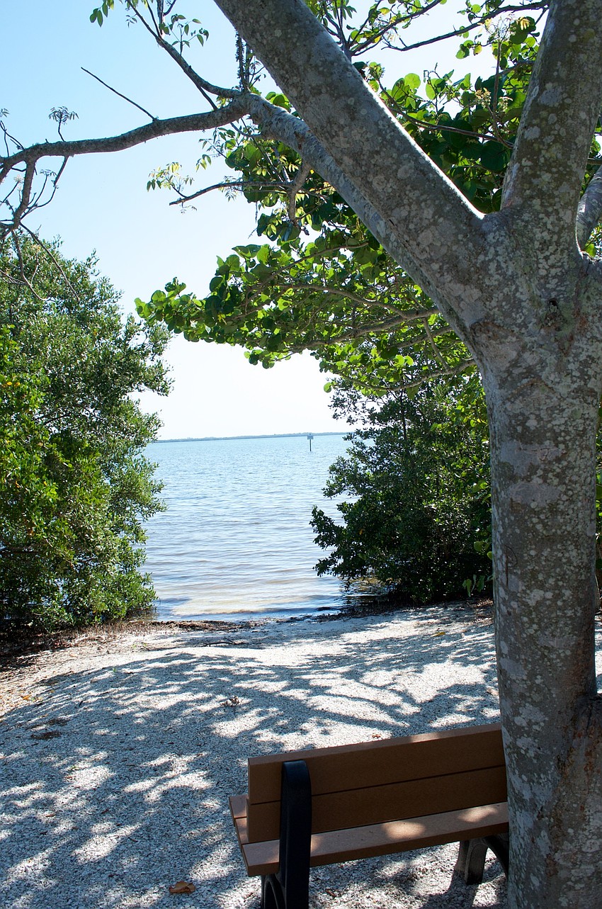 Shade, and benches, are plentiful
