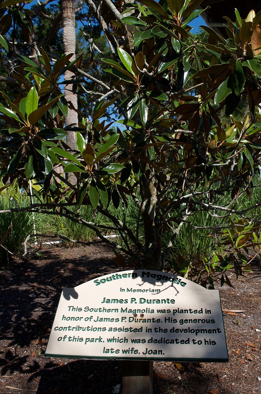 The park was made possible with a grant from donor James Durante, in honor of his late wife, Joan Durante.