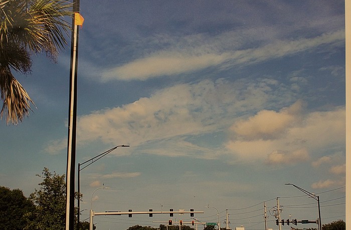 The town used a 30-foot light pole along Bee Ridge Road as an example of a dark-painted aluminum pole. The flag pole is 25 feet high,
