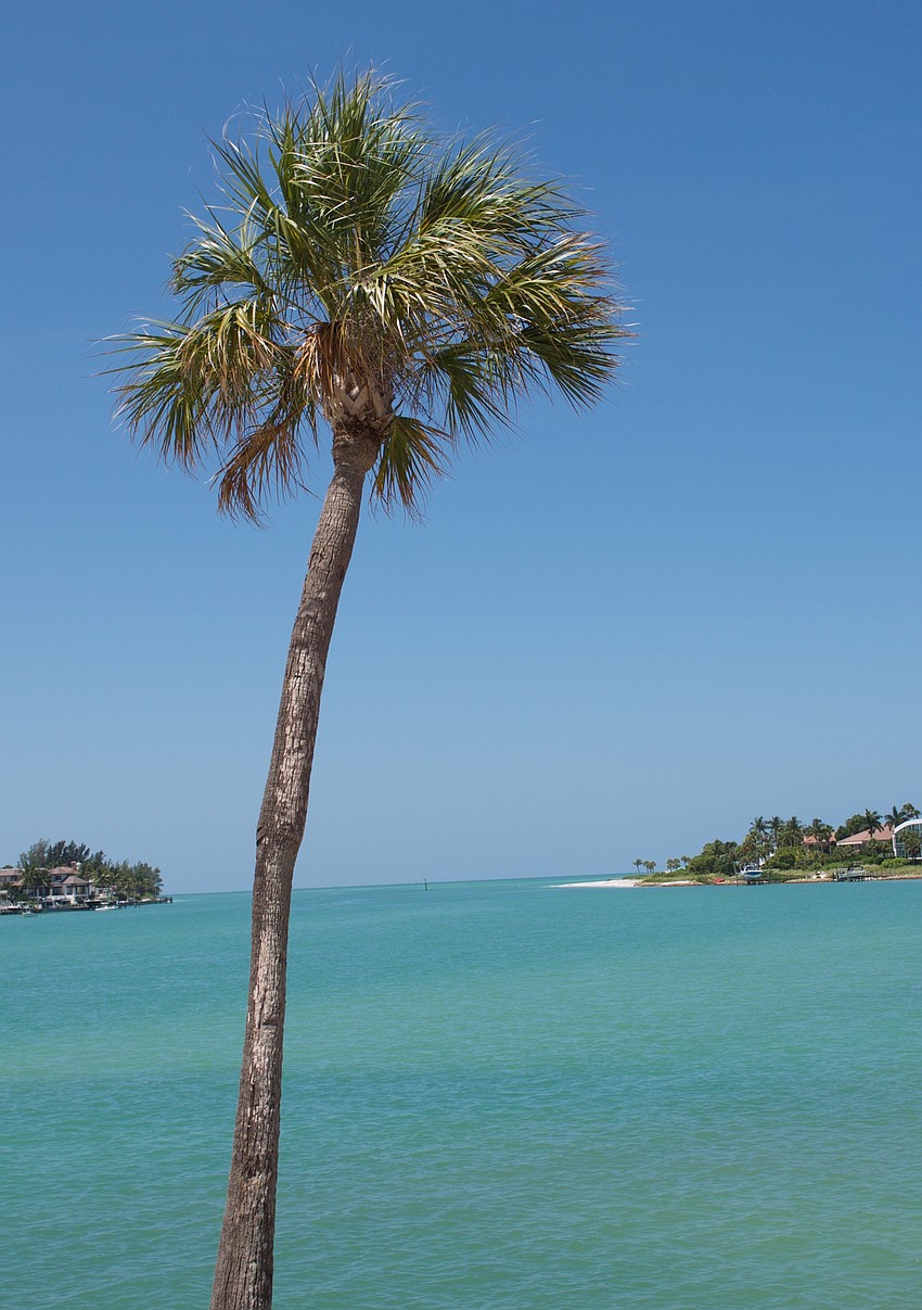 Overlook Park's palms and turquoise waters make for a very Florida-like setting.