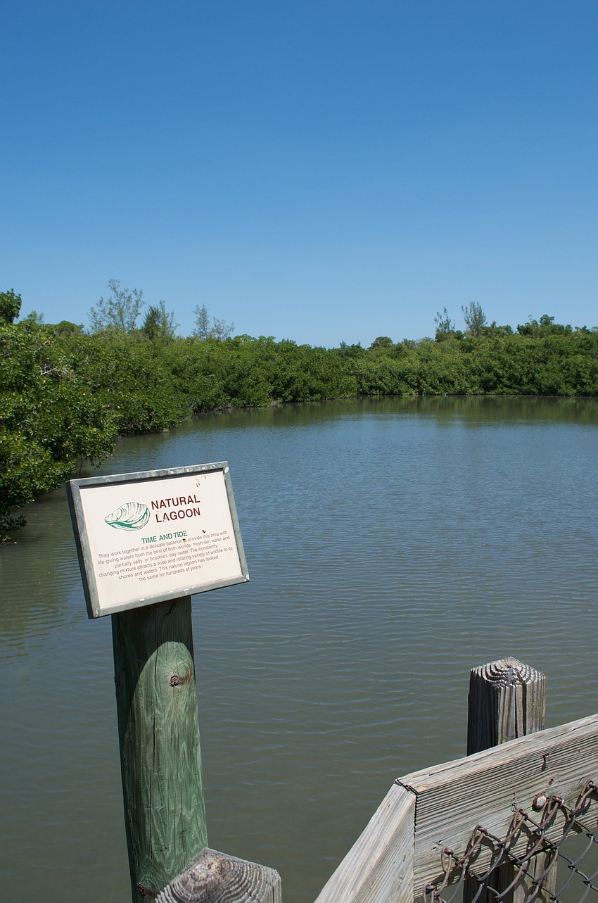 This tidal lagoon is natural and attracts a wide range of wildlife.